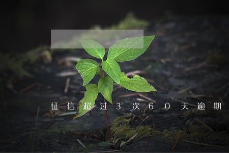 征信超过3次60天逾期能出国不 征信超过3次60天逾期能出国不