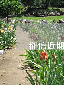 征信近期有逾期能贷款吗 征信近期有逾期能贷款吗