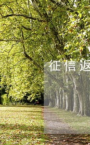 征信返显贷款逾期1逾期金额0 征信返显贷款逾期1逾期金额0