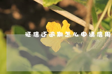 征信还逾期怎么申请信用卡 征信还逾期怎么申请信用卡