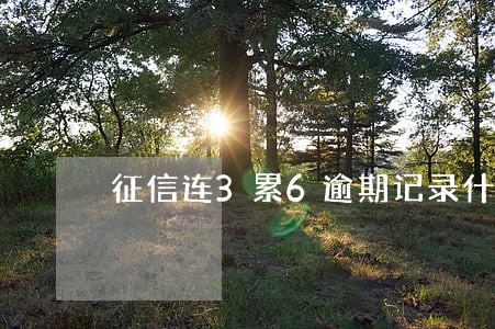 征信连3累6逾期记录什么意思 征信连3累6逾期记录什么意思