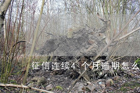 征信连续4个月逾期怎么办 征信连续4个月逾期怎么办