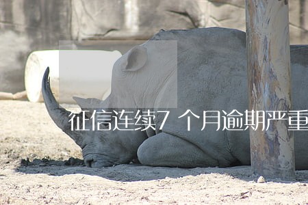征信连续7个月逾期严重吗 征信连续7个月逾期严重吗