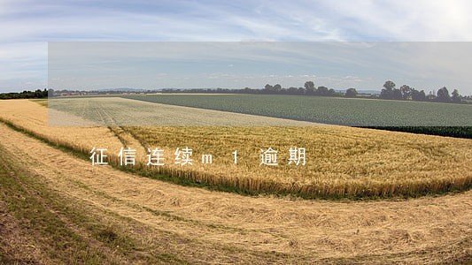 征信连续m1逾期 征信连续m1逾期