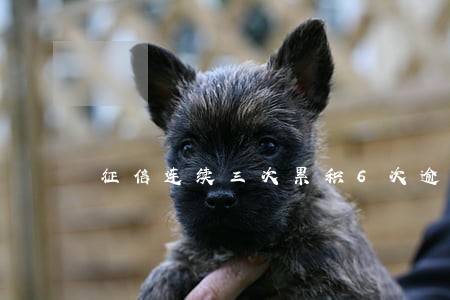 征信连续三次累积6次逾期啥意思 征信连续三次累积6次逾期啥意思
