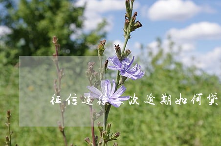 征信连续三次逾期如何贷款 征信连续三次逾期如何贷款