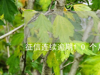 征信连续逾期10个月 征信连续逾期10个月