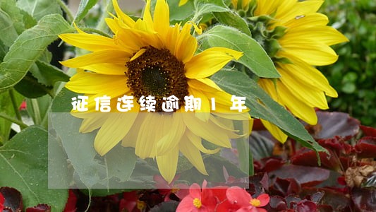 征信连续逾期1年 征信连续逾期1年