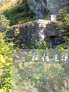 征信连续逾期4个月贷款 征信连续逾期4个月贷款