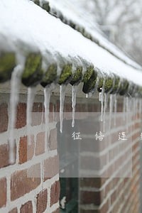 征信连续逾期4次还能贷款吗 征信连续逾期4次还能贷款吗