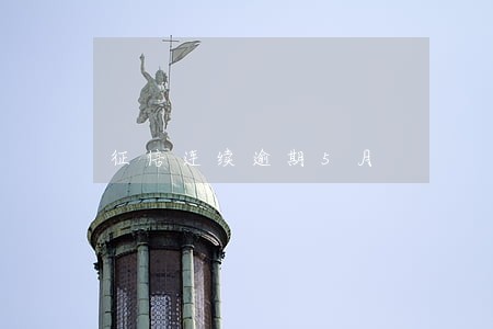 征信连续逾期5月