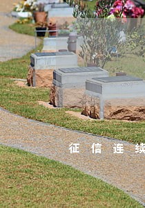 征信连续逾期5次怎么办