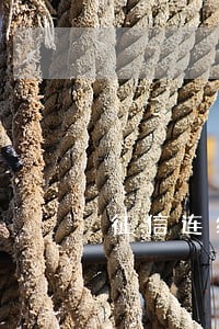 征信连续逾期6次怎么办啊 征信连续逾期6次怎么办啊