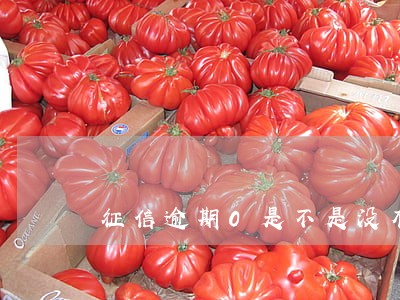 征信逾期0是不是没有贷款 征信逾期0是不是没有贷款
