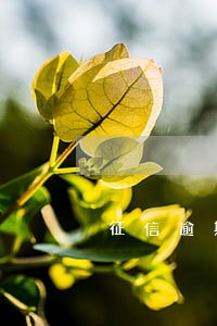 征信逾期100天能抵押房吗 征信逾期100天能抵押房吗