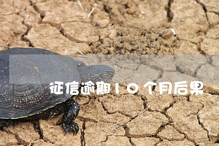征信逾期10个月后果 征信逾期10个月后果