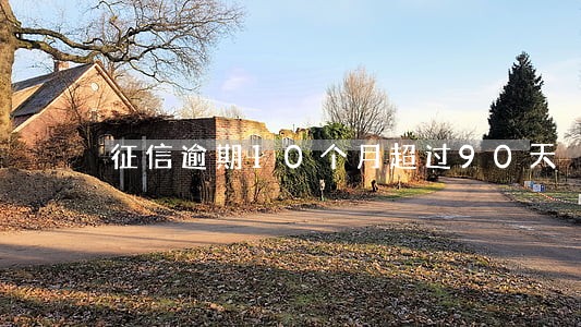 征信逾期10个月超过90天