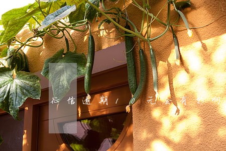 征信逾期10元会有影响吗 征信逾期10元会有影响吗