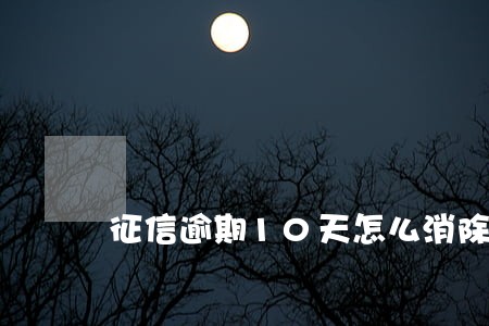 征信逾期10天怎么消除 征信逾期10天怎么消除