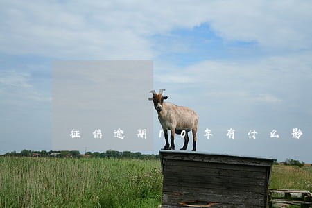 征信逾期10年有什么影响 征信逾期10年有什么影响
