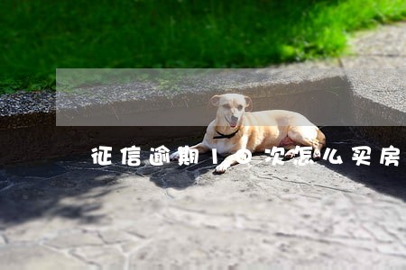 征信逾期10次怎么买房 征信逾期10次怎么买房