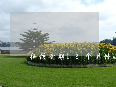 征信逾期12个月情况 征信逾期12个月情况