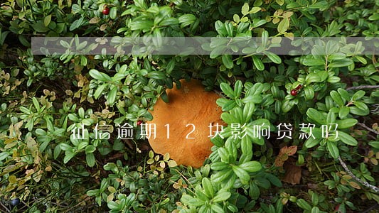 征信逾期12块影响贷款吗 征信逾期12块影响贷款吗