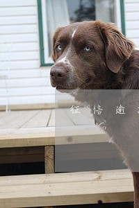 征信逾期137能贷款嘛 征信逾期137能贷款嘛