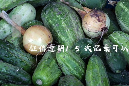 征信逾期15次记录可以买房子吗 征信逾期15次记录可以买房子吗
