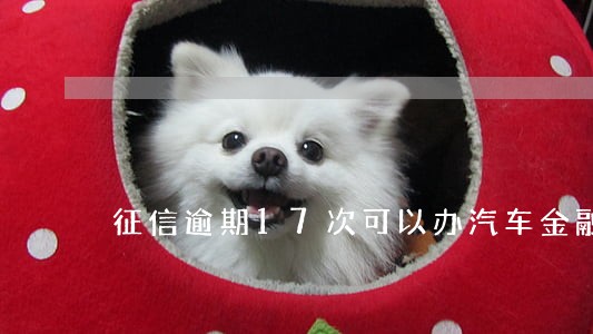 征信逾期17次可以办汽车金融吗 征信逾期17次可以办汽车金融吗
