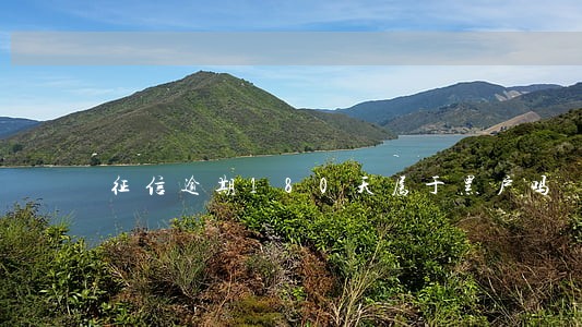 征信逾期180天属于黑户吗 征信逾期180天属于黑户吗