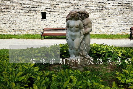 征信逾期18次能买房吗 征信逾期18次能买房吗