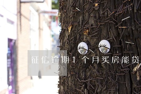 征信逾期1个月买房能贷款吗 征信逾期1个月买房能贷款吗