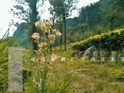 征信逾期1个月会上浮吗 征信逾期1个月会上浮吗
