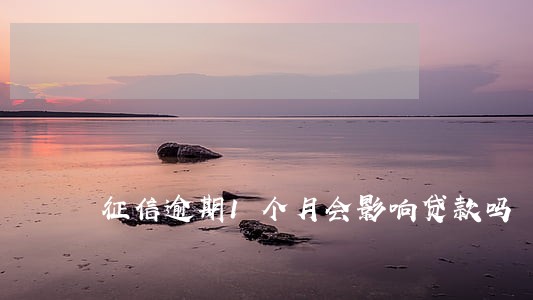征信逾期1个月会影响贷款吗 征信逾期1个月会影响贷款吗