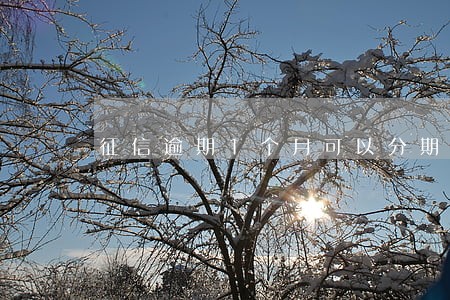 征信逾期1个月可以分期买车吗 征信逾期1个月可以分期买车吗