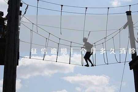 征信逾期1个月多久消除 征信逾期1个月多久消除