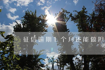 征信逾期1个月还能做担保人吗 征信逾期1个月还能做担保人吗