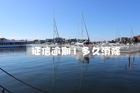 征信逾期1多久消除