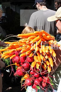征信逾期1天会影响买房买车吗 征信逾期1天会影响买房买车吗