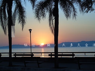 征信逾期1天多久会消除 征信逾期1天多久会消除