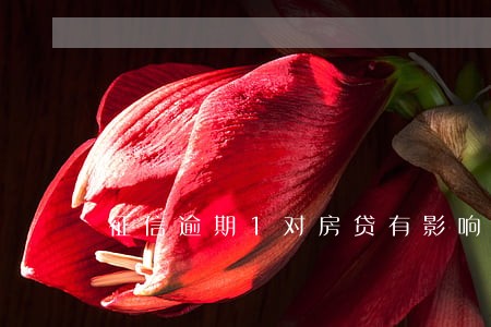 征信逾期1对房贷有影响吗 征信逾期1对房贷有影响吗