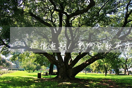 征信逾期1影响贷款买房吗 征信逾期1影响贷款买房吗