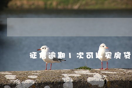 征信逾期1次可以买房贷款吗 征信逾期1次可以买房贷款吗