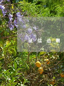 征信逾期1次多久消除 征信逾期1次多久消除