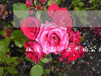 征信逾期1次影响公积金贷款 征信逾期1次影响公积金贷款