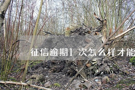 征信逾期1次怎么样才能消除 征信逾期1次怎么样才能消除