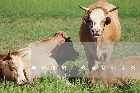 征信逾期1次房贷利率会上调吗