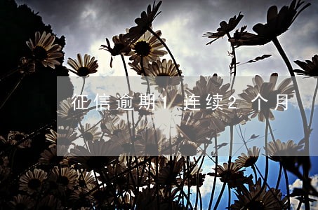 征信逾期1连续2个月 征信逾期1连续2个月