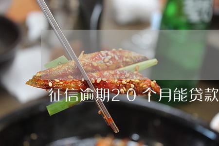 征信逾期20个月能贷款买房 征信逾期20个月能贷款买房